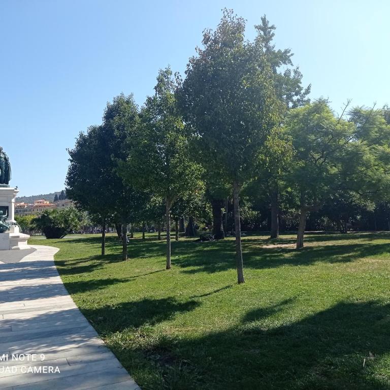 Studette en plein cœur du Vieux Nice - Studio - 62