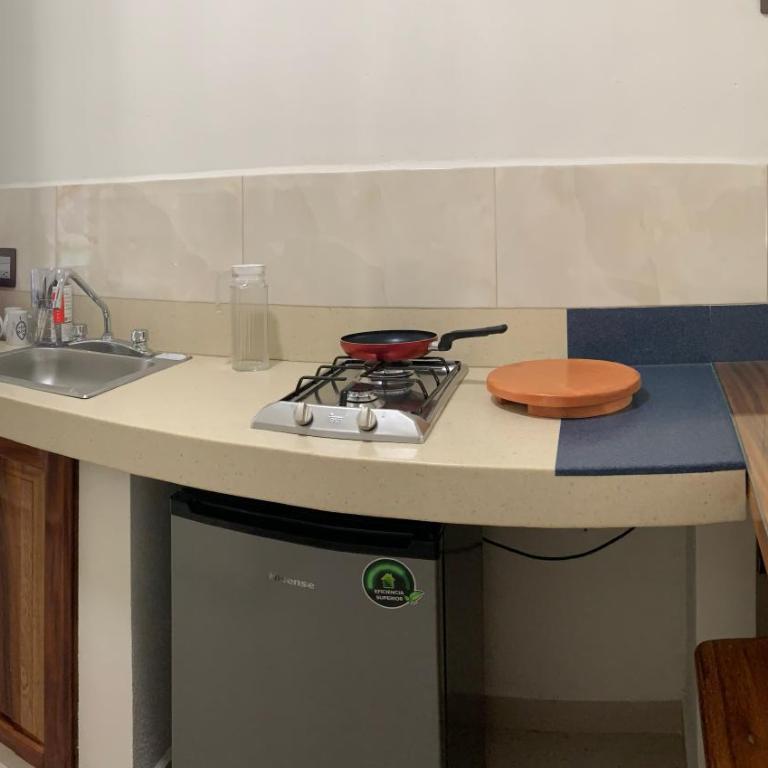 Lidxi Rosae - Apartamento - 3
