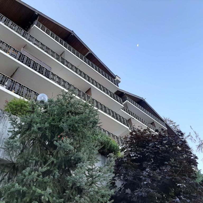 The fox's family home - Veysonnaz - Appartement 1 Chambre - 2