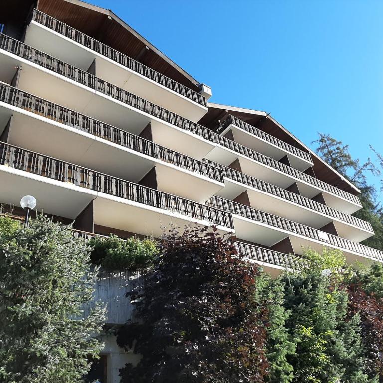 The fox's family home - Veysonnaz - Appartement 1 Chambre - 4