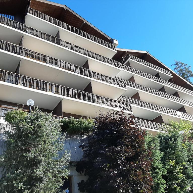 The fox's family home - Veysonnaz - Appartement 1 Chambre - 6