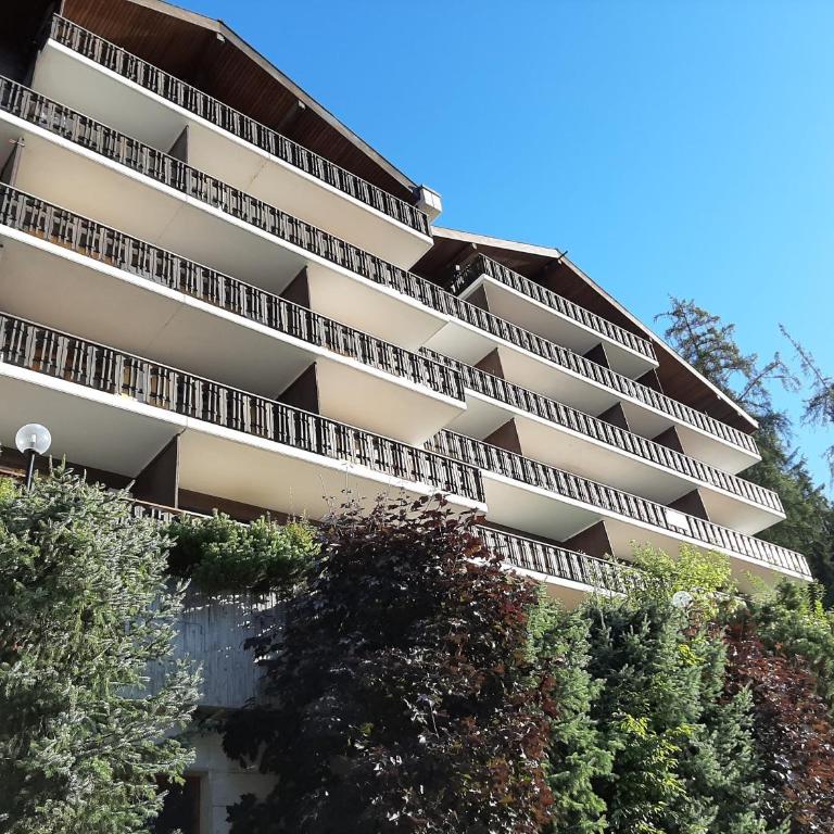 The fox's family home - Veysonnaz - Appartement 1 Chambre - 8