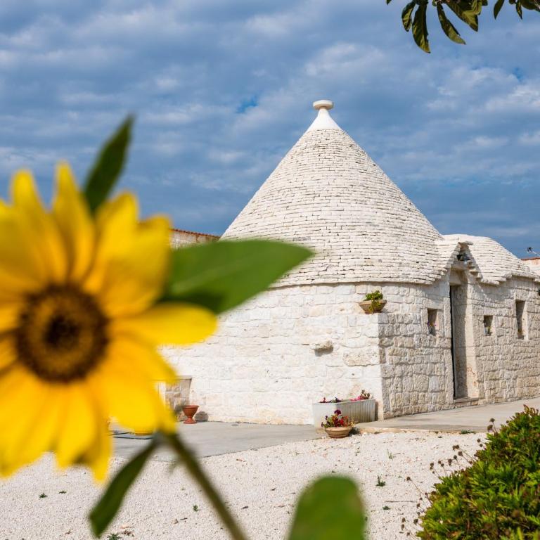 Masseria Mezza Ruota - Appartamento con 2 Camere da Letto - 21