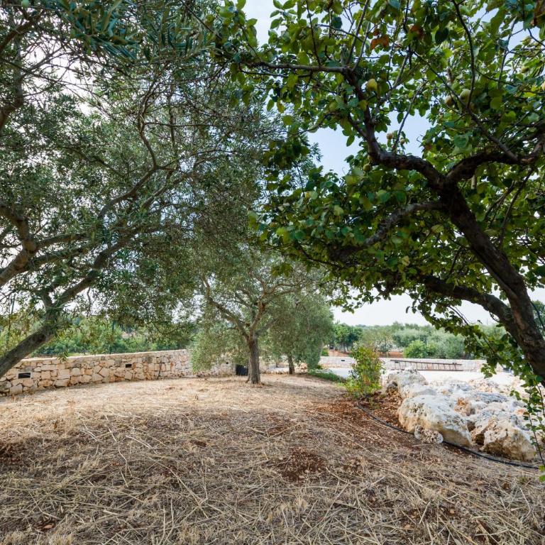 Masseria Mezza Ruota - Appartamento con 2 Camere da Letto - 6