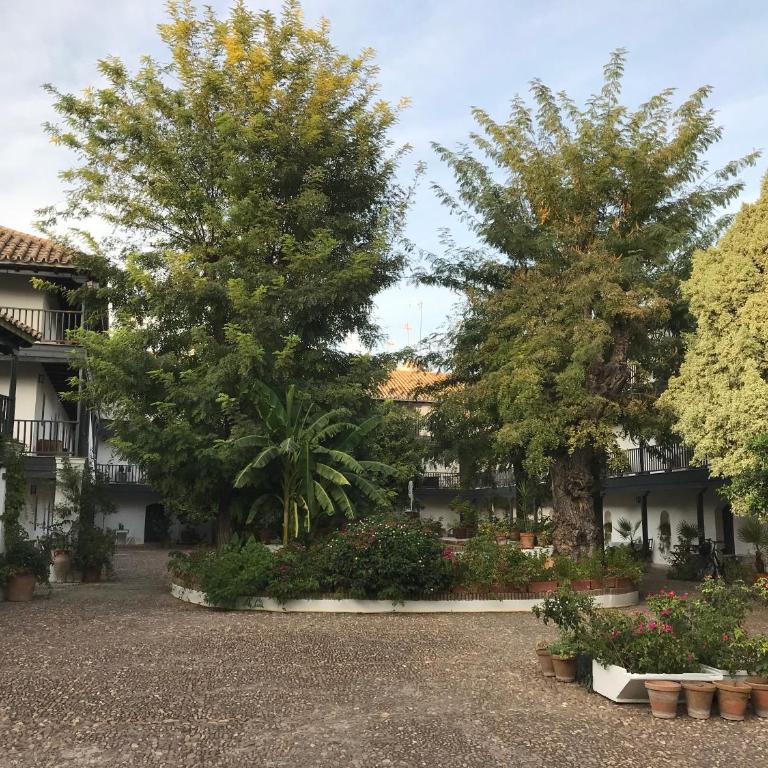 S27 Corral del Siglo XVI - Apartamento de 1 dormitorio - 8