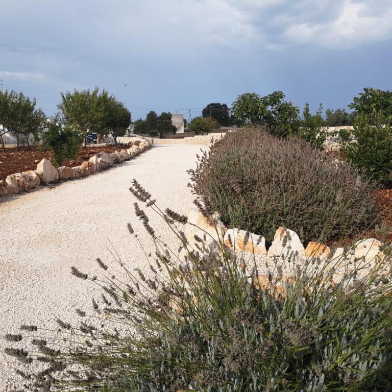 Masseria Poesia - Appartamento Deluxe - 13