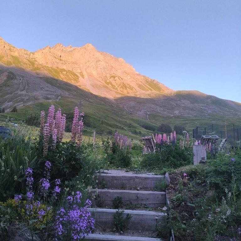 Le Ptit Chalet - Chalet 1 Chambre - 4