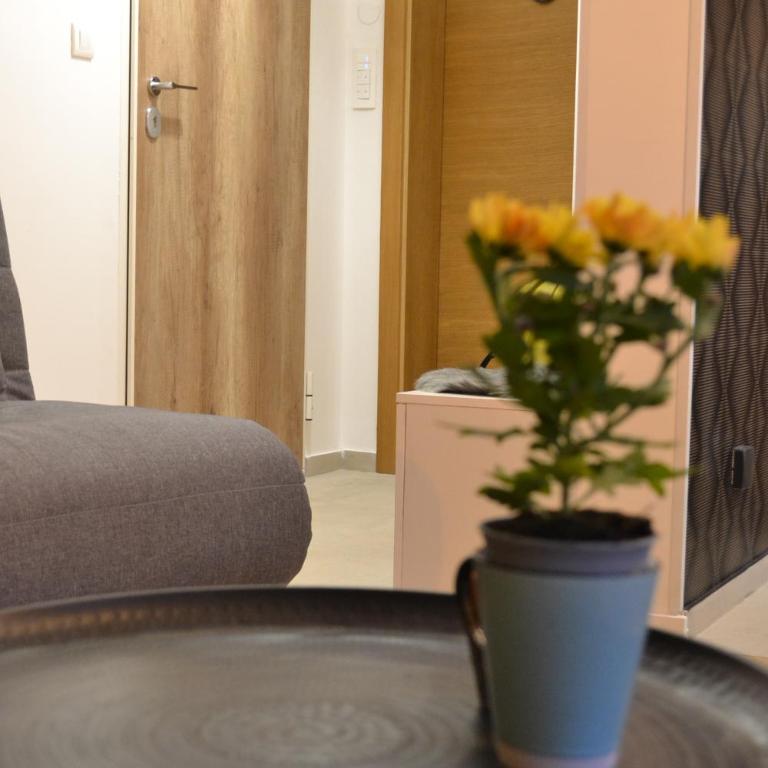 Olimpijska kuca Jahorina - Apartman A708 - One-Bedroom Apartment - 11