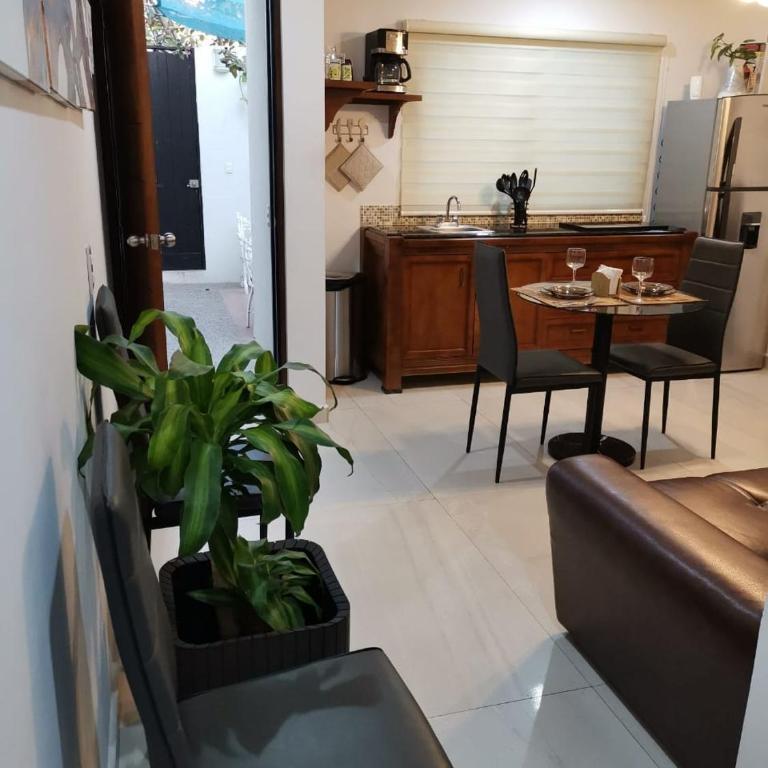 Departamentos con Alberca - One-Bedroom Apartment with Pool View - 8