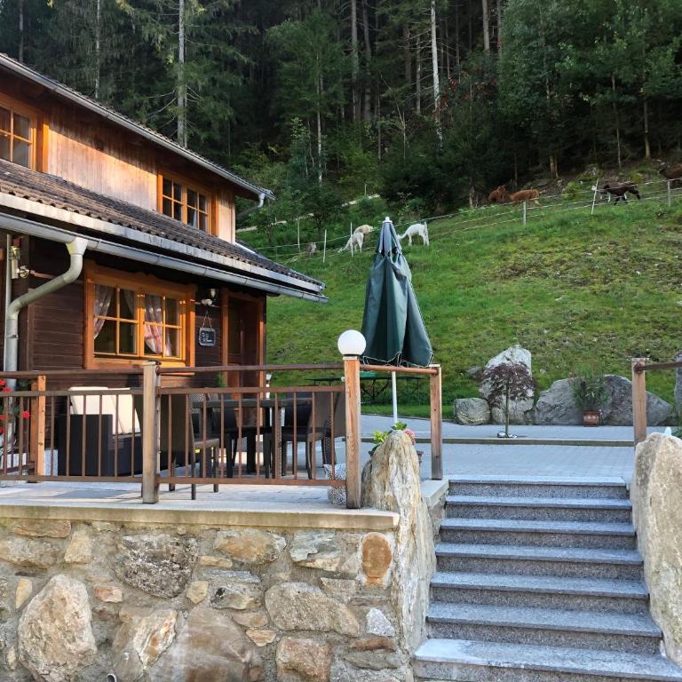 Eggerhof - Appartamento Grande con 2 Camere da Letto - 4