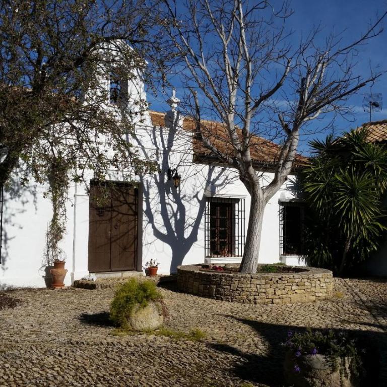 Beautiful Cortijo with pool near Ronda - Villa - 3