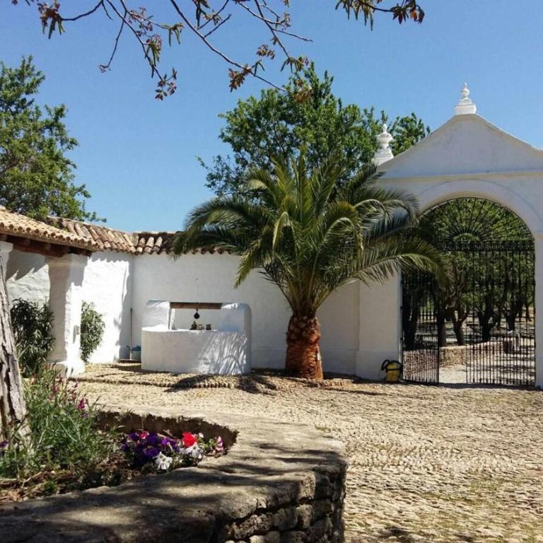 Beautiful Cortijo with pool near Ronda - Villa - 4