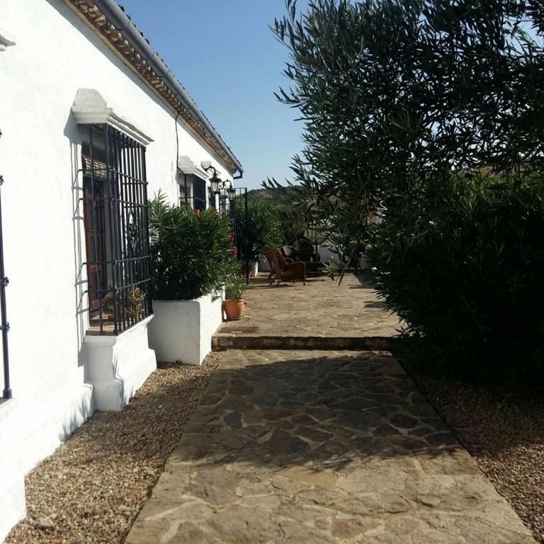 Beautiful Cortijo with pool near Ronda - Villa - 20