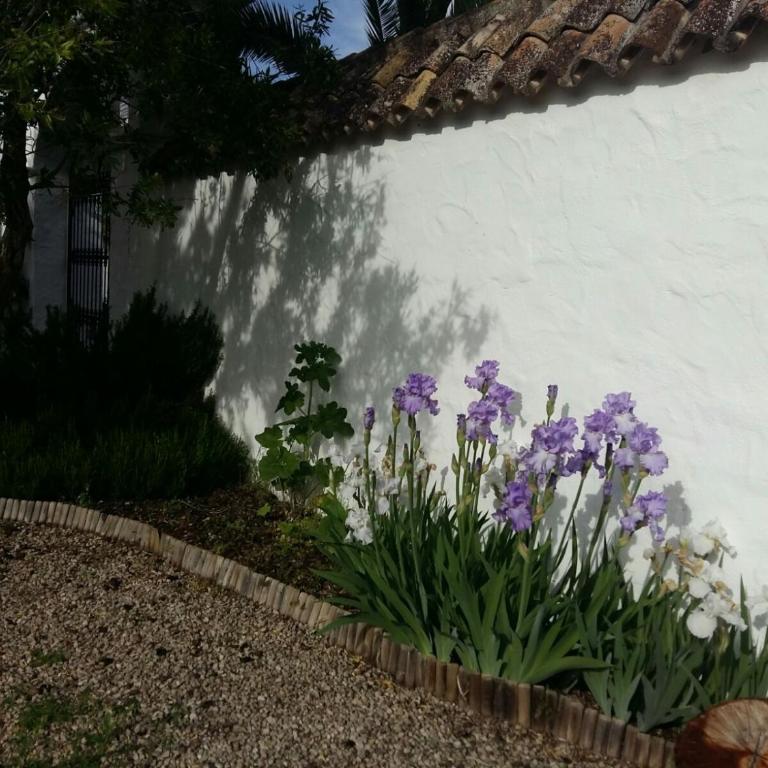 Beautiful Cortijo with pool near Ronda - Villa - 30