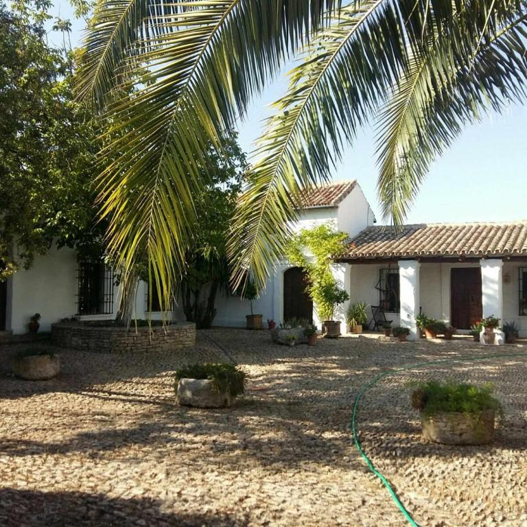 Beautiful Cortijo with pool near Ronda - Villa - 22