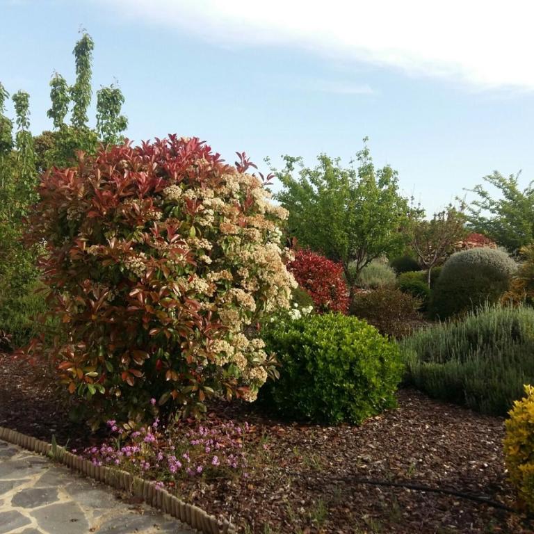 Beautiful Cortijo with pool near Ronda - Villa - 32