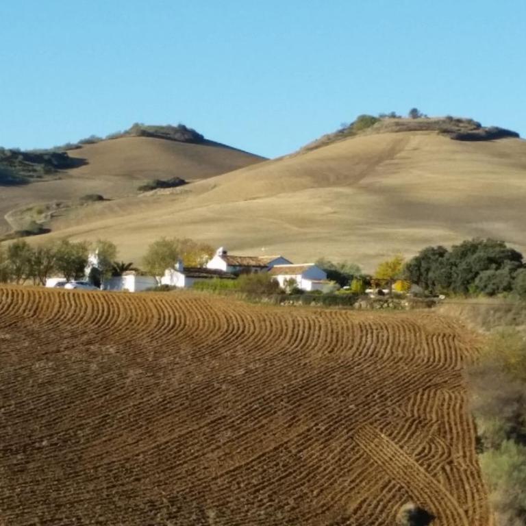 Beautiful Cortijo with pool near Ronda - Villa - 35