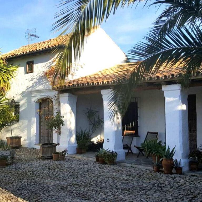 Beautiful Cortijo with pool near Ronda - Villa - 5