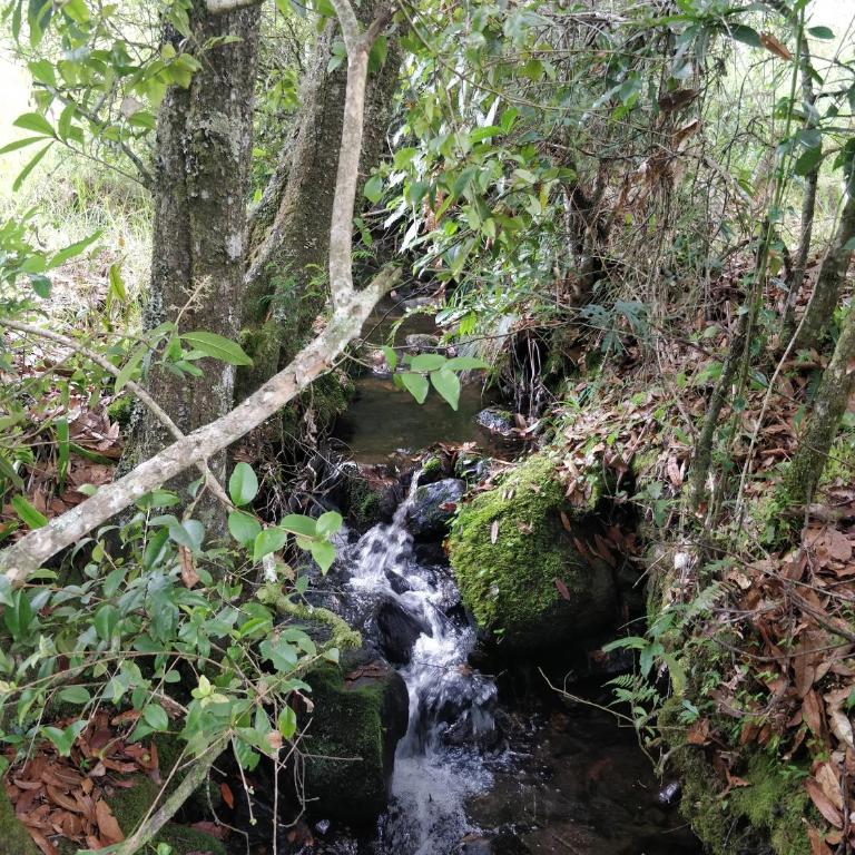 Casa de Leña - Cabaña Rural - One-Bedroom Cottage - 18