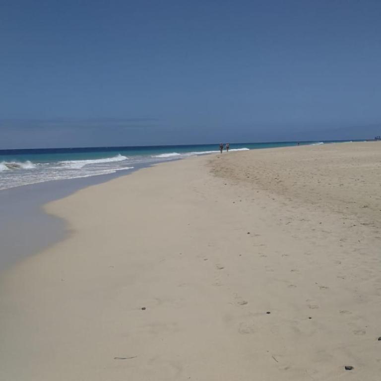 PLAYA MIRAR in Palm Garden - Apartamento de 1 dormitorio - 26