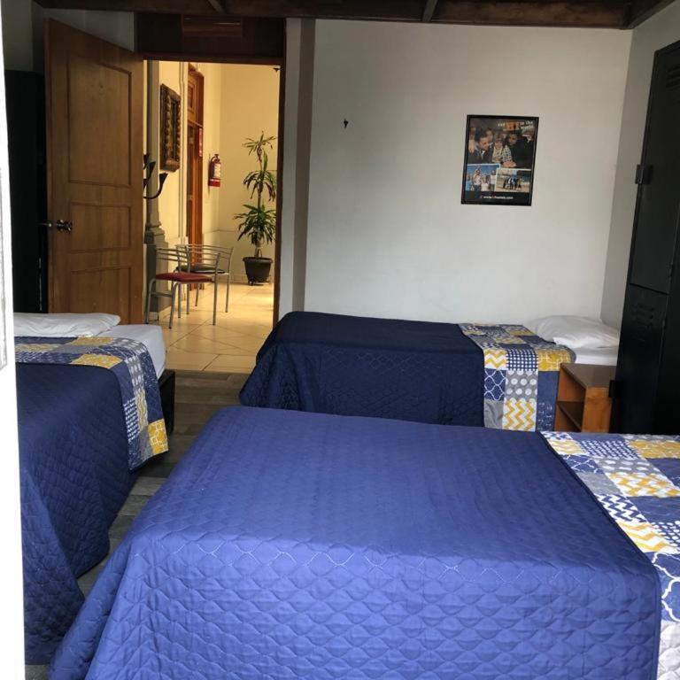 Hotel lit Guadalajara - Single Bed in Male Dormitory Room - 1