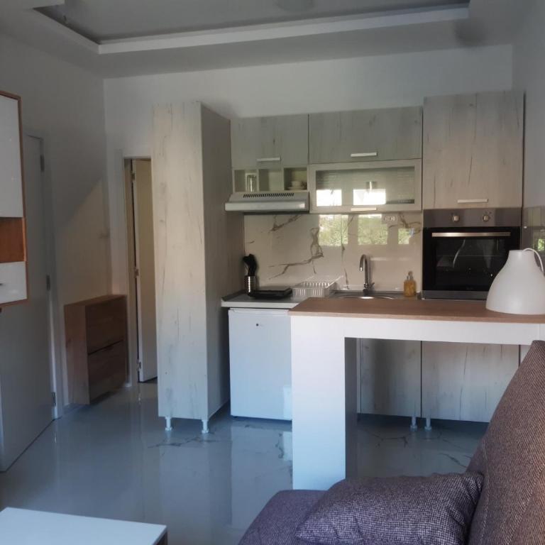 Stojanović Apartments - Studio - 25