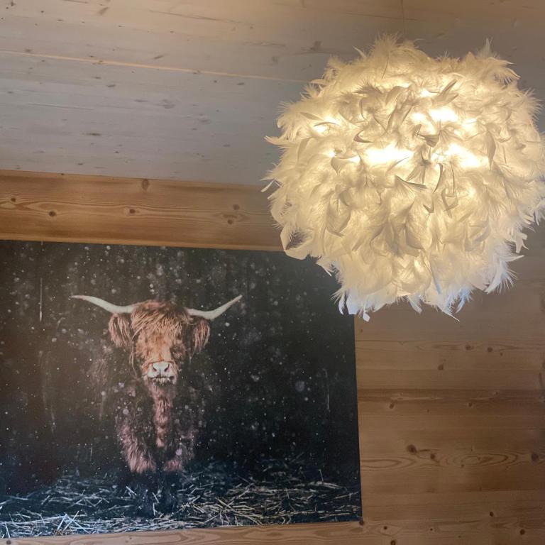 L'ADRET DU TEMPS CHALET 10 PERSONNES 170m2 - Chalet - 31