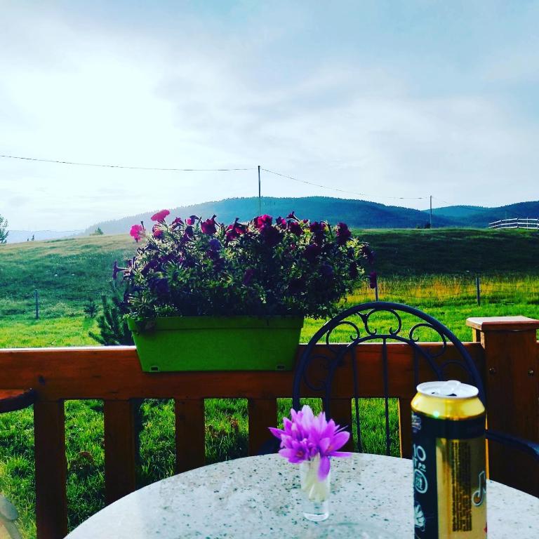 Planinska kuca - Vacation Home - 20