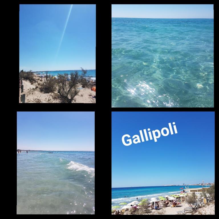 Salento - Casa vacanza di Diana Carcagni - Appartamento con 2 Camere da Letto - 7