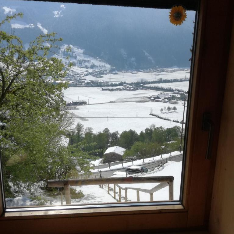 Tanterhütte by Tanterhof - Ferienhaus - 13