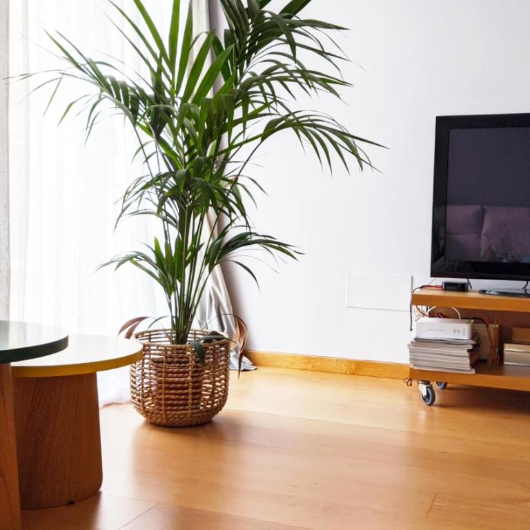 céntrico Apartamento Elai, - Apartamento de 1 dormitorio - 15