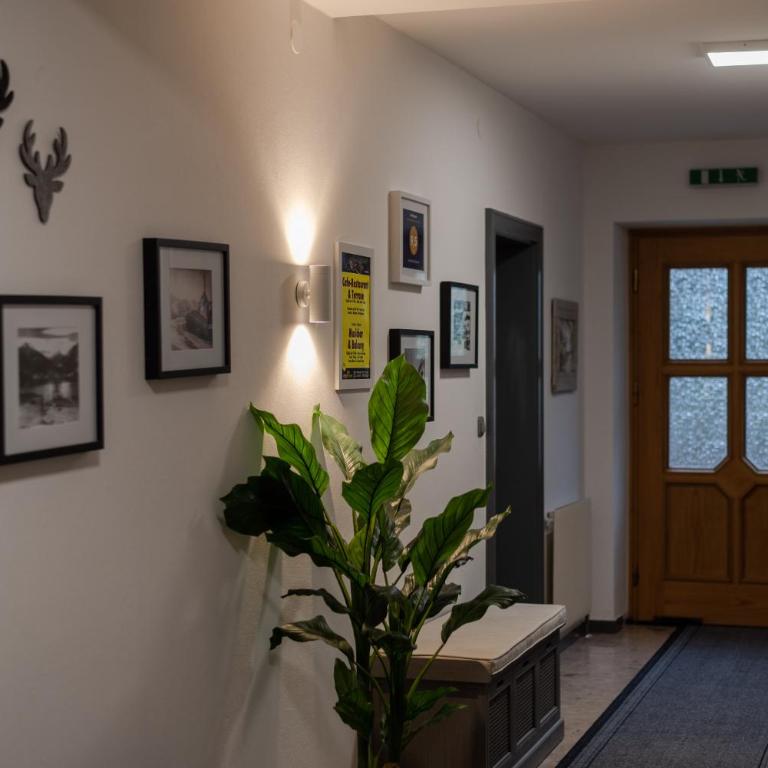 Apartment Edelweiss - Apartment - 20
