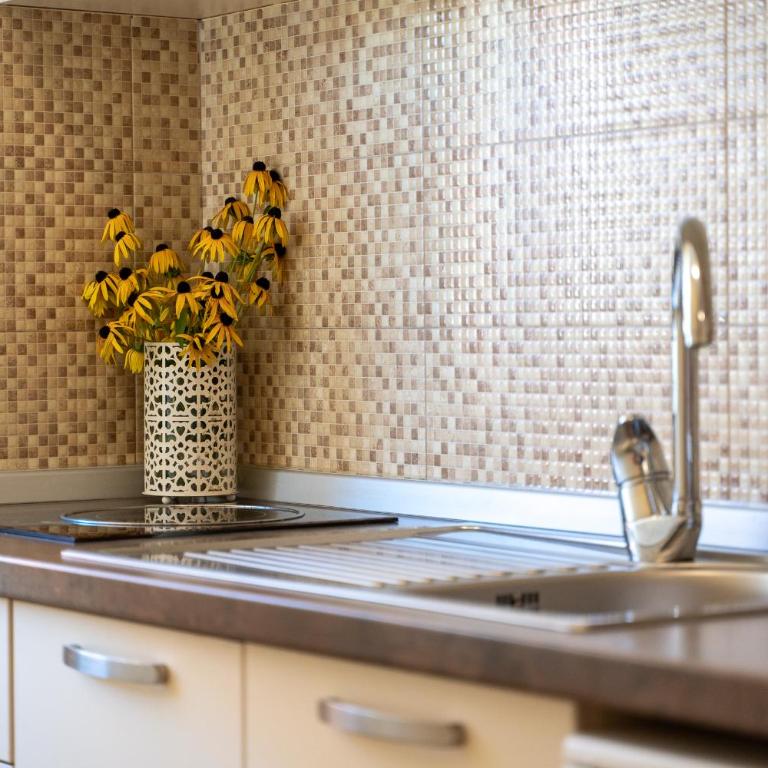 Vila Narcis Zlatibor - Studio sa Pogledom na Planinu - 9
