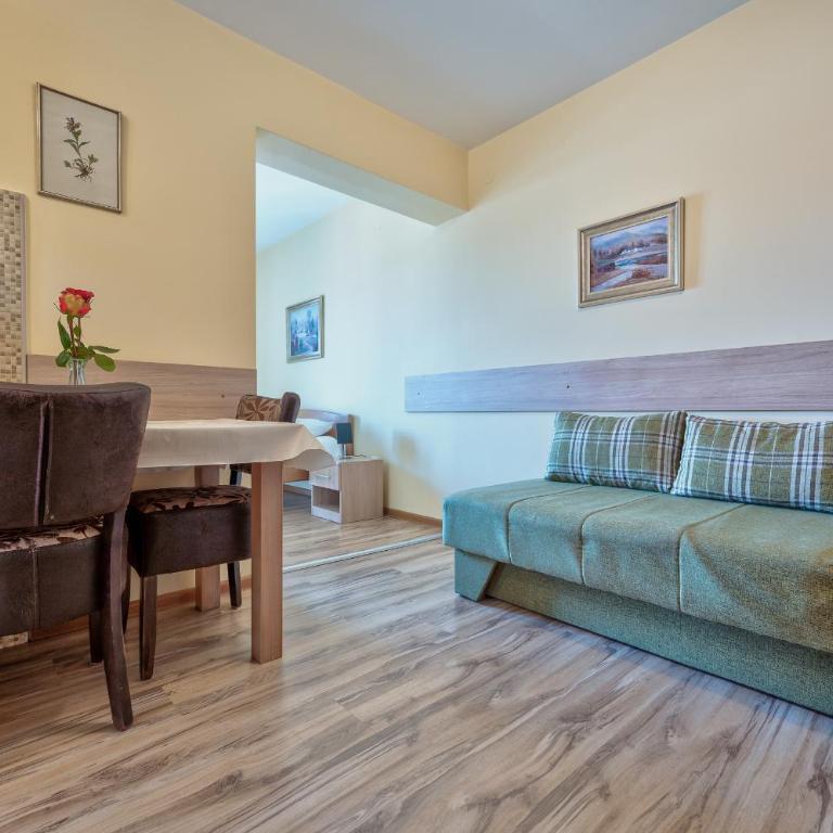 Vila Narcis Zlatibor - Studio sa Pogledom na Planinu - 12