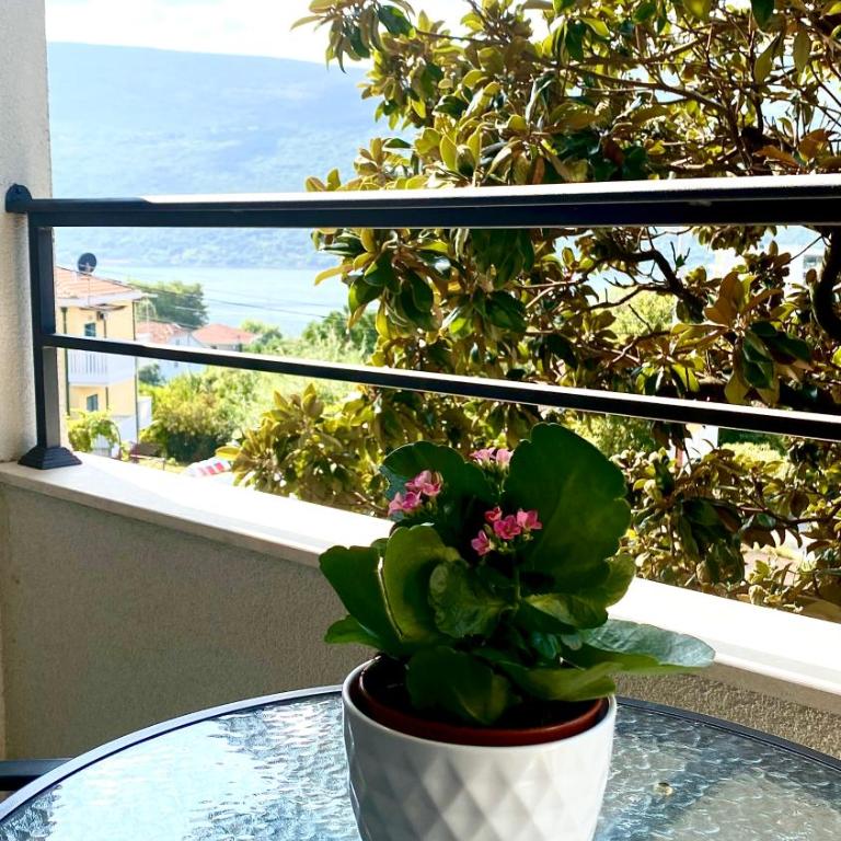 Hotel Olimpija plus - Deluxe Twin Room with Sea View - 10