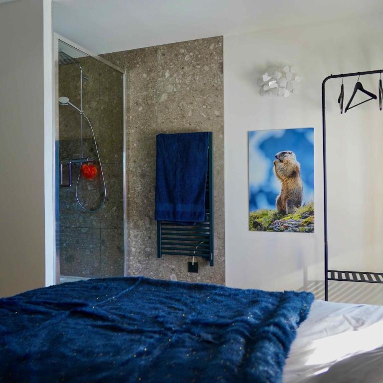 SUPERBE DUPLEX 4* DERNIER ETAGE 7pers. / 67m2 - Appartement en Duplex - 15