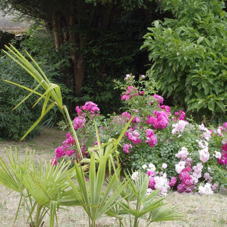 VILLA EPERONNIERE - Villa - 19