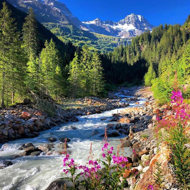 Lauterbrunnen Staubbach Beautiful Waterfall Apartment - Apartment mit 3 Schlafzimmern - 93