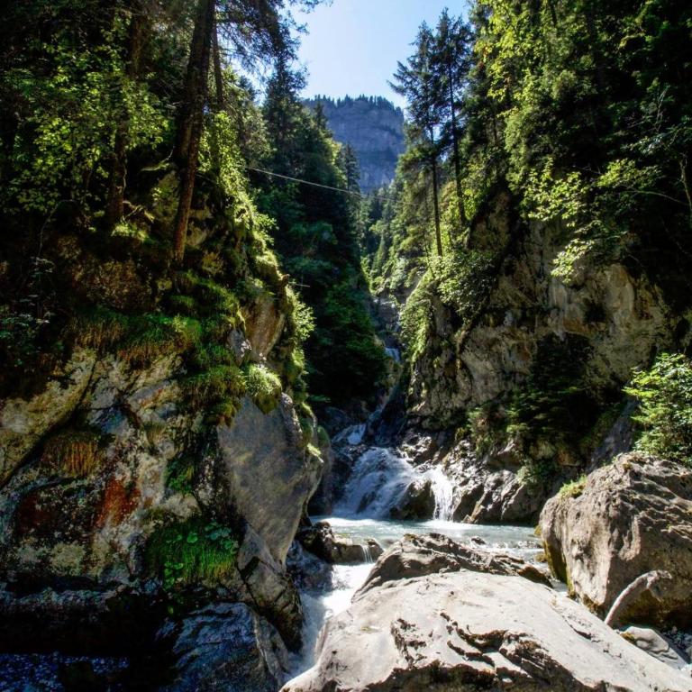 Lauterbrunnen Staubbach Beautiful Waterfall Apartment - Apartment mit 3 Schlafzimmern - 90
