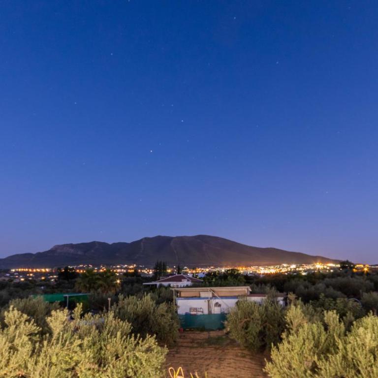Cubo's Finca La Libelula - Vacation Home - 54