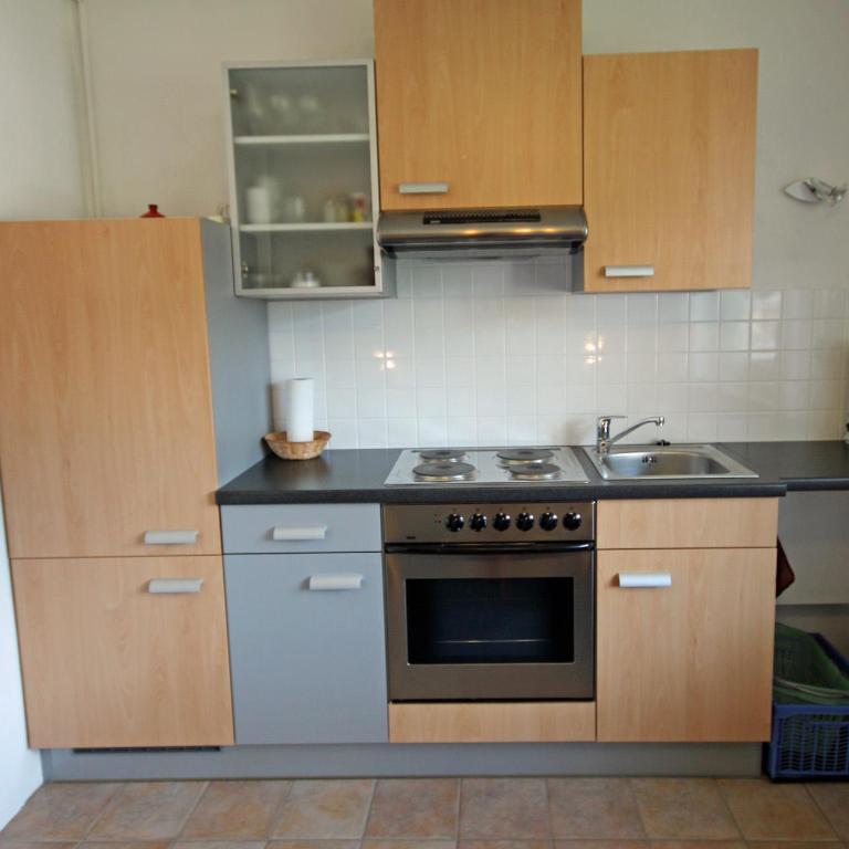 Appartements Wurzer by Schladming-Appartements - Apartment mit 1 Schlafzimmer - 6