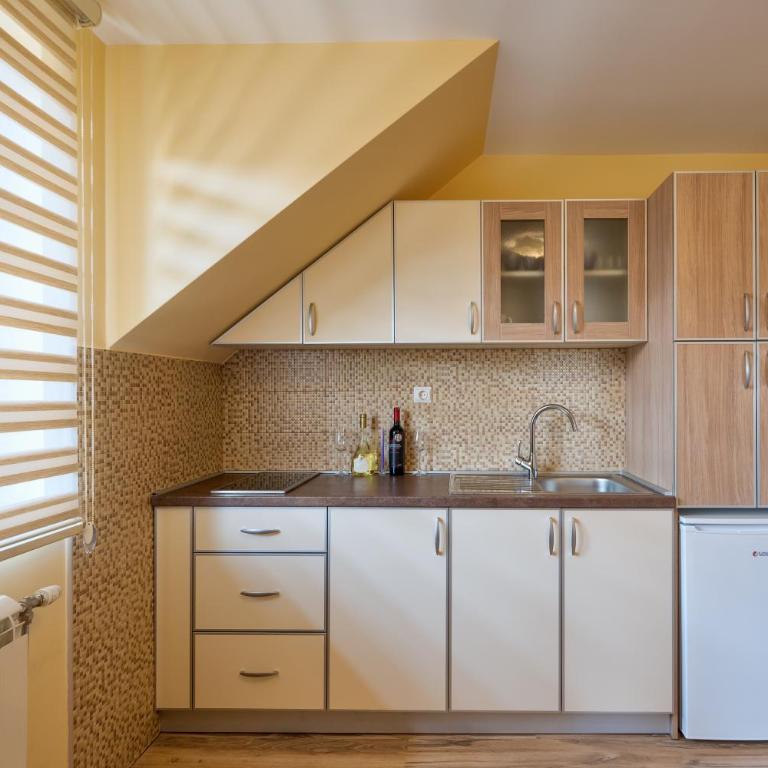 Vila Narcis Zlatibor - Apartman sa Pogledom na Planinu - 22
