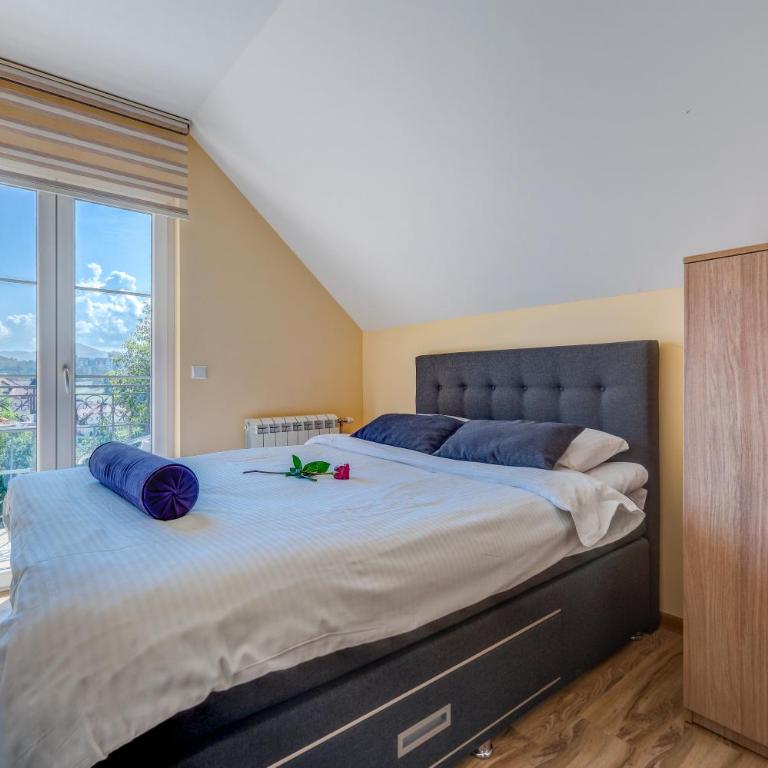 Vila Narcis Zlatibor - Apartman sa Pogledom na Planinu - 30