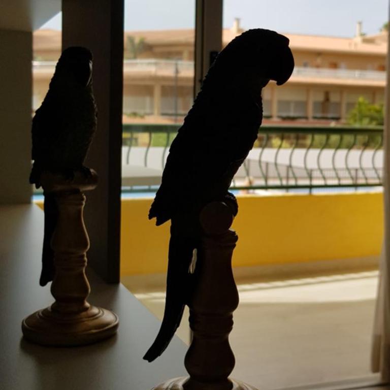 PLAYA LAS VISTAS LOFT - Estudio - 37