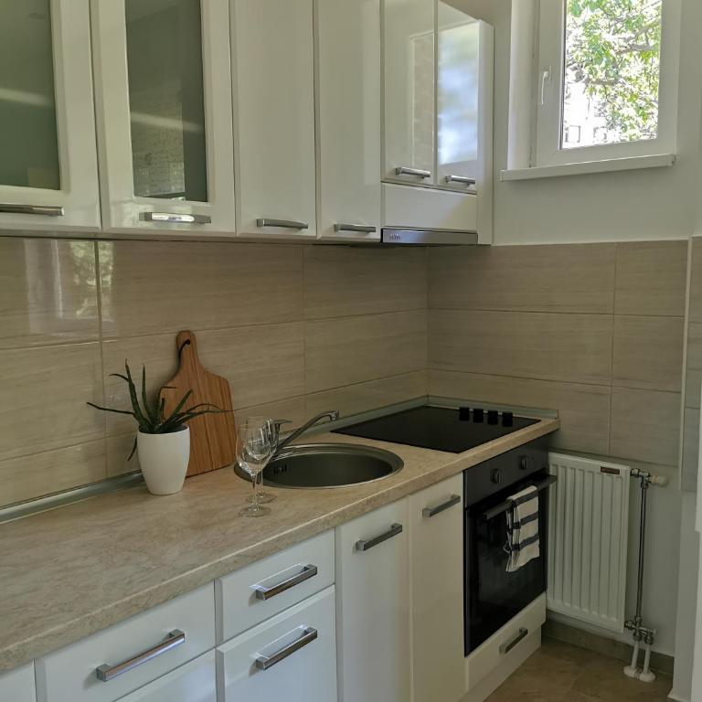 Apartman Djordje - Apartman - 2