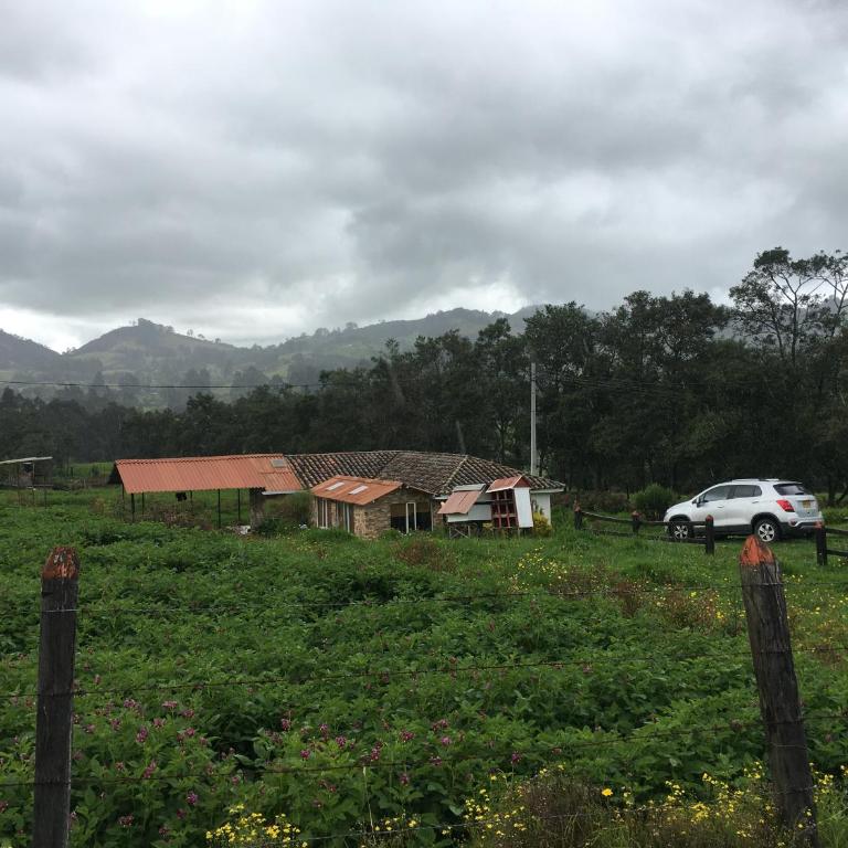 Finca San Carlos 100% pet friendly - Casa de 3 dormitorios - 21