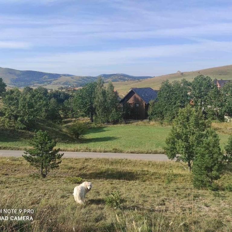 Tennis Club Zlatibor 2 - Two-Bedroom Apartment - 21