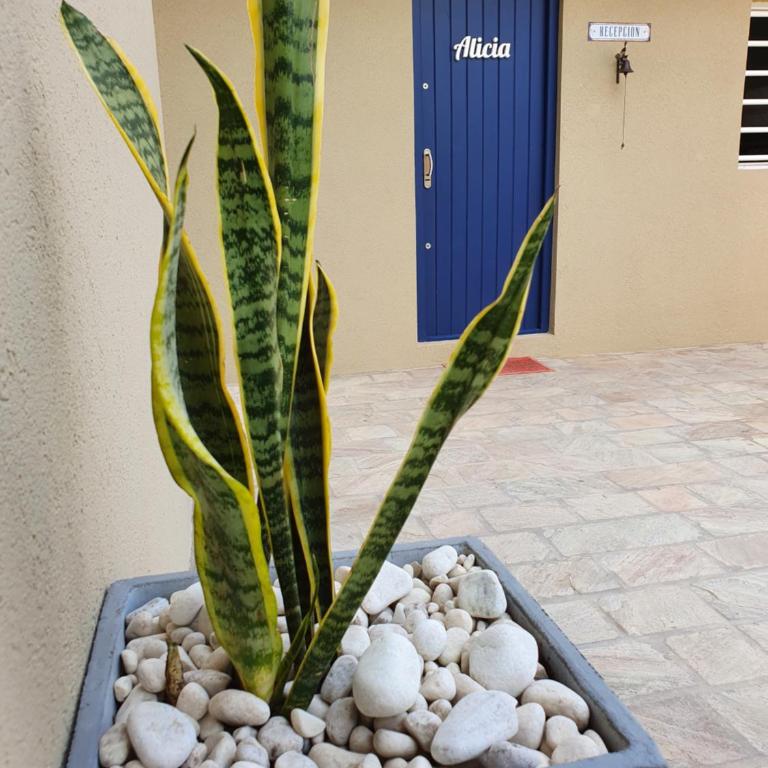 Complejo Villa Calitri - Vacation Home - 21