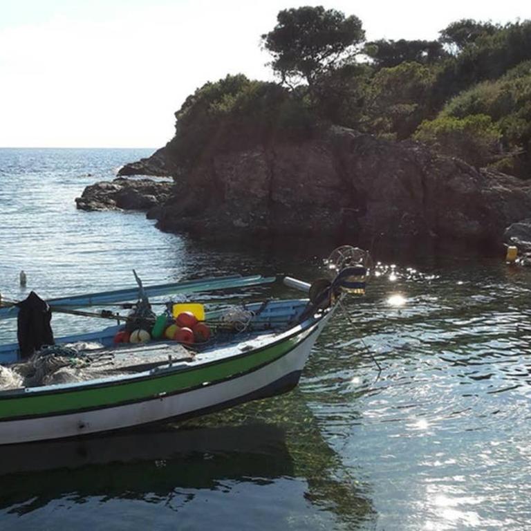 Miramare studio pieds dans l eau vue mer féerique 180 féerique - Apartment mit 1 Schlafzimmer - 16