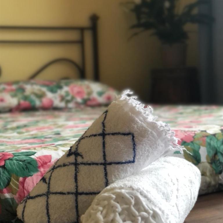 Villa Orsini - A Retreat in Pisa - Food and Relax - Camera Matrimoniale con Balcone - 4